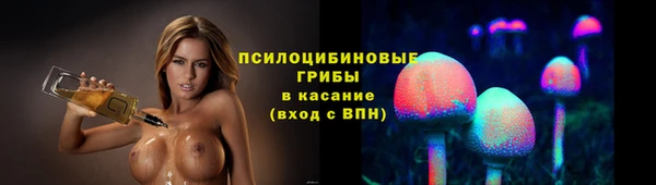 скорость Богородицк
