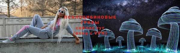 apvp Богданович