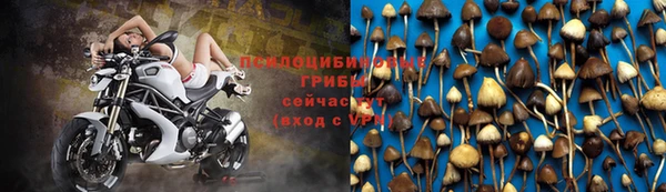 метадон Богородск