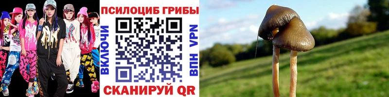 как найти наркотики  Кореновск  Галлюциногенные грибы ЛСД 